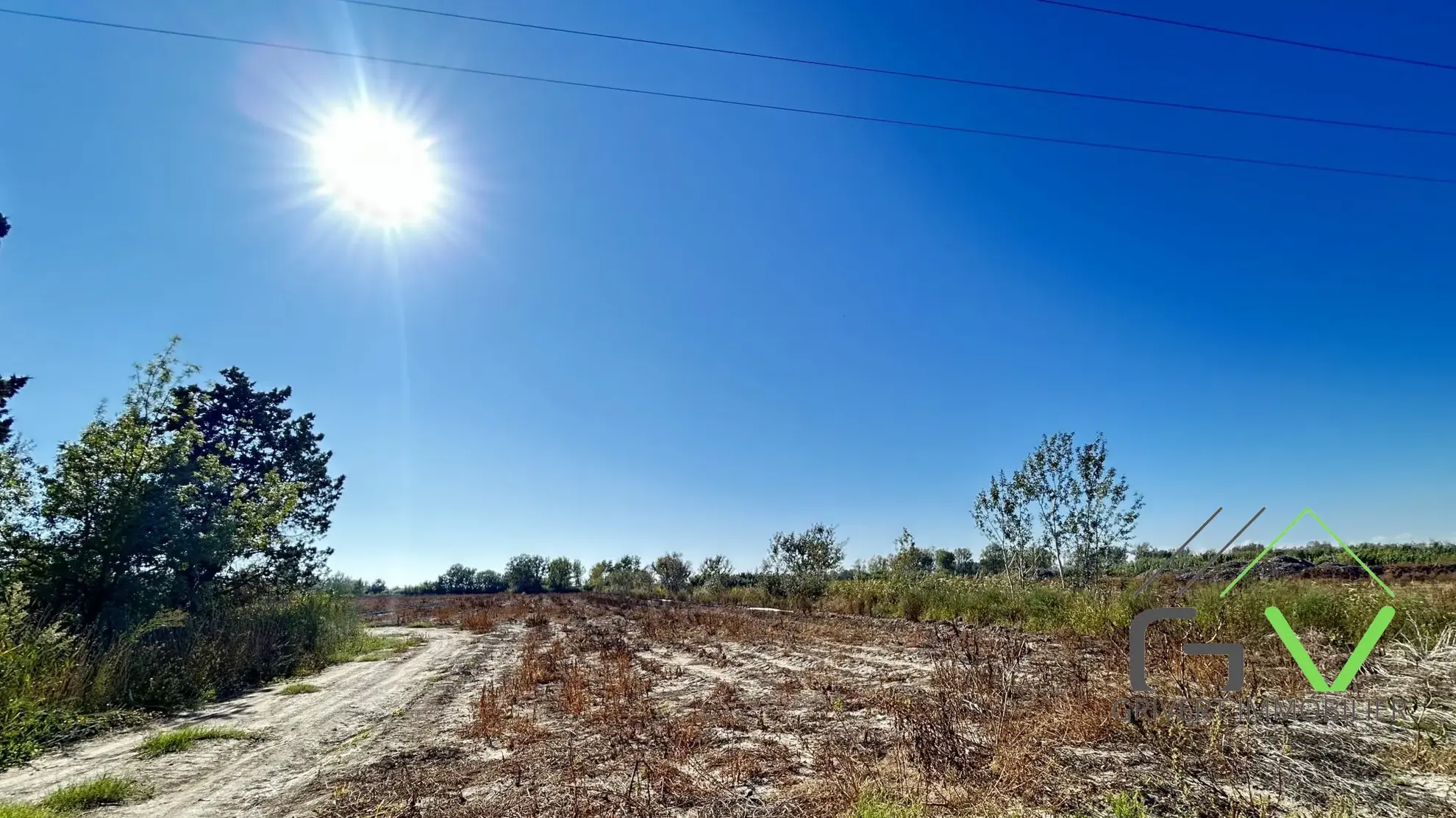 Terrain agricole AOP en Camargue de 46 800 m² proche du Rhône 