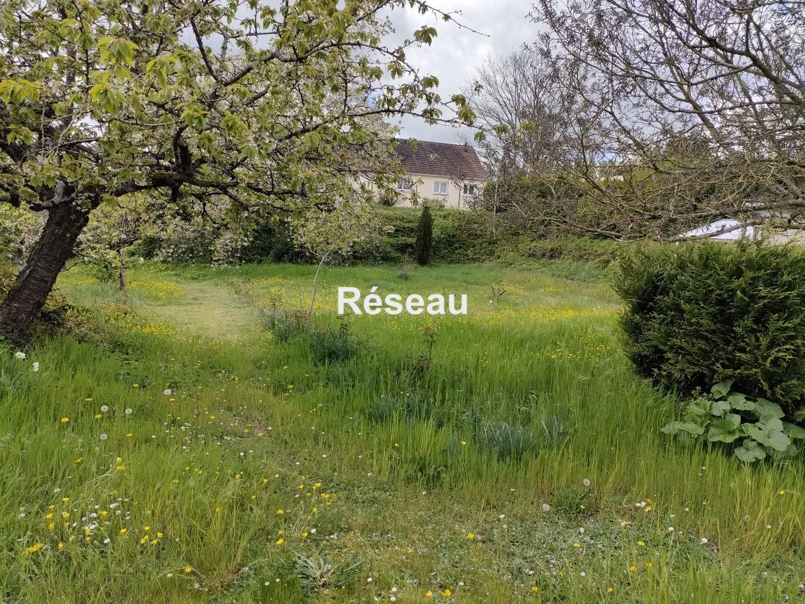 Maison individuelle avec grand terrain, dépendances et studio à Cloyes-les-Trois-Rivières 