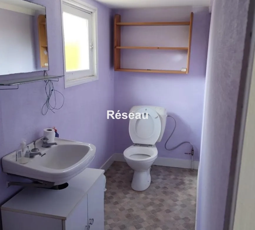 Maison individuelle avec grand terrain, dépendances et studio à Cloyes-les-Trois-Rivières 
