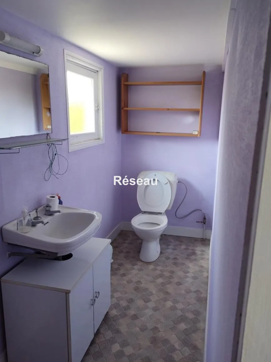 Maison individuelle avec grand terrain, dépendances et studio à Cloyes-les-Trois-Rivières 