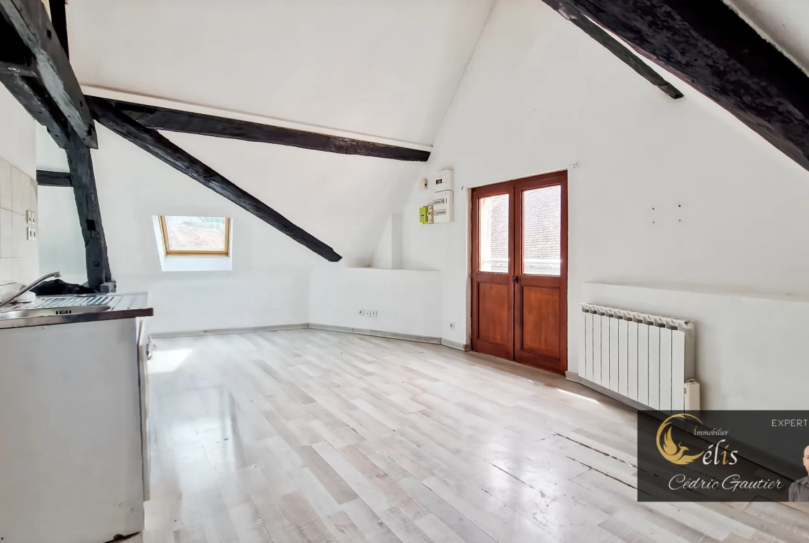 Appartement T2 lumineux de 26 m² au cœur de La Tour-du-Pin 