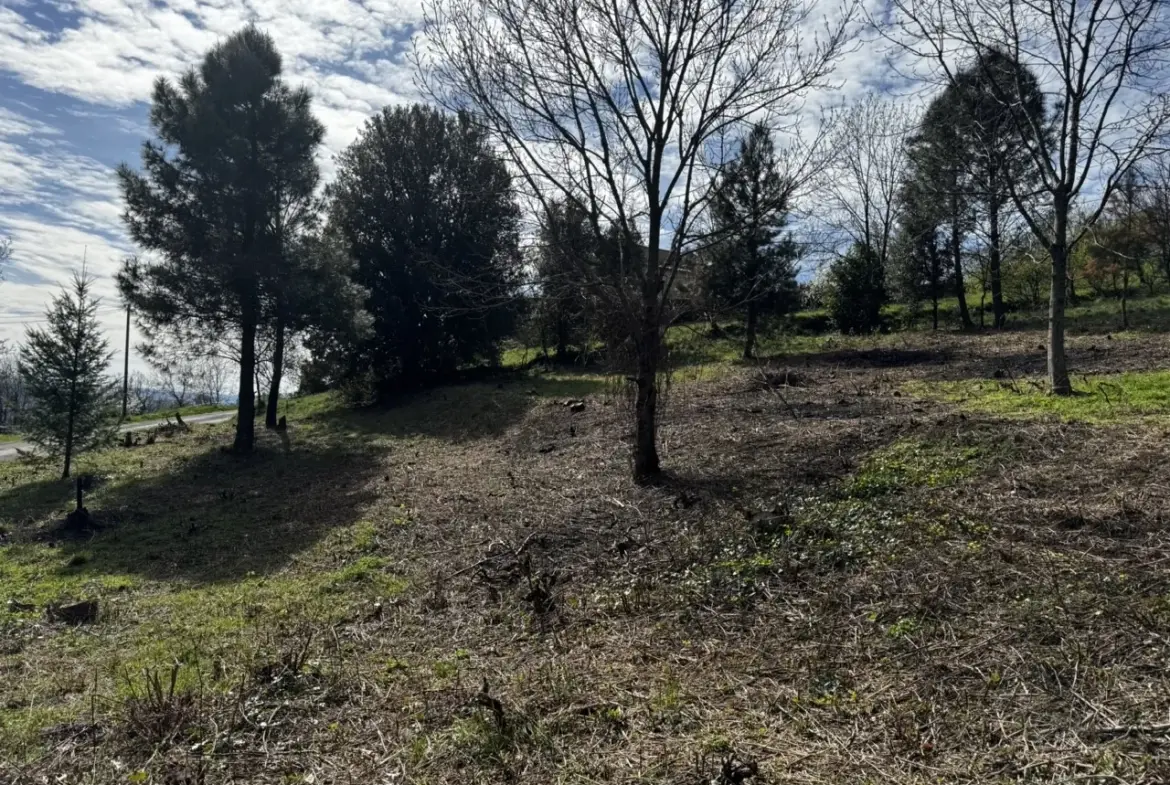 Magnifique terrain constructible à Vals les Bains avec vue montagne 