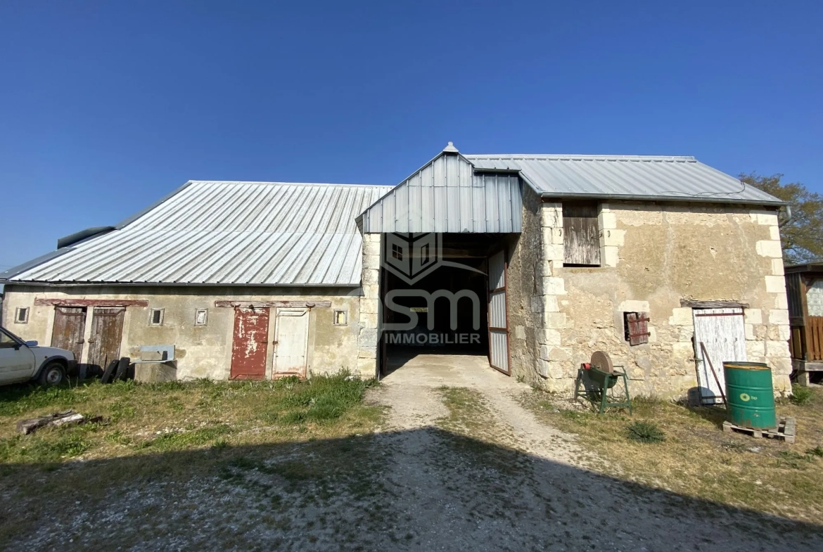 Grande grange à aménager à Sorigny, potentiel pour artisan ou investisseurs 
