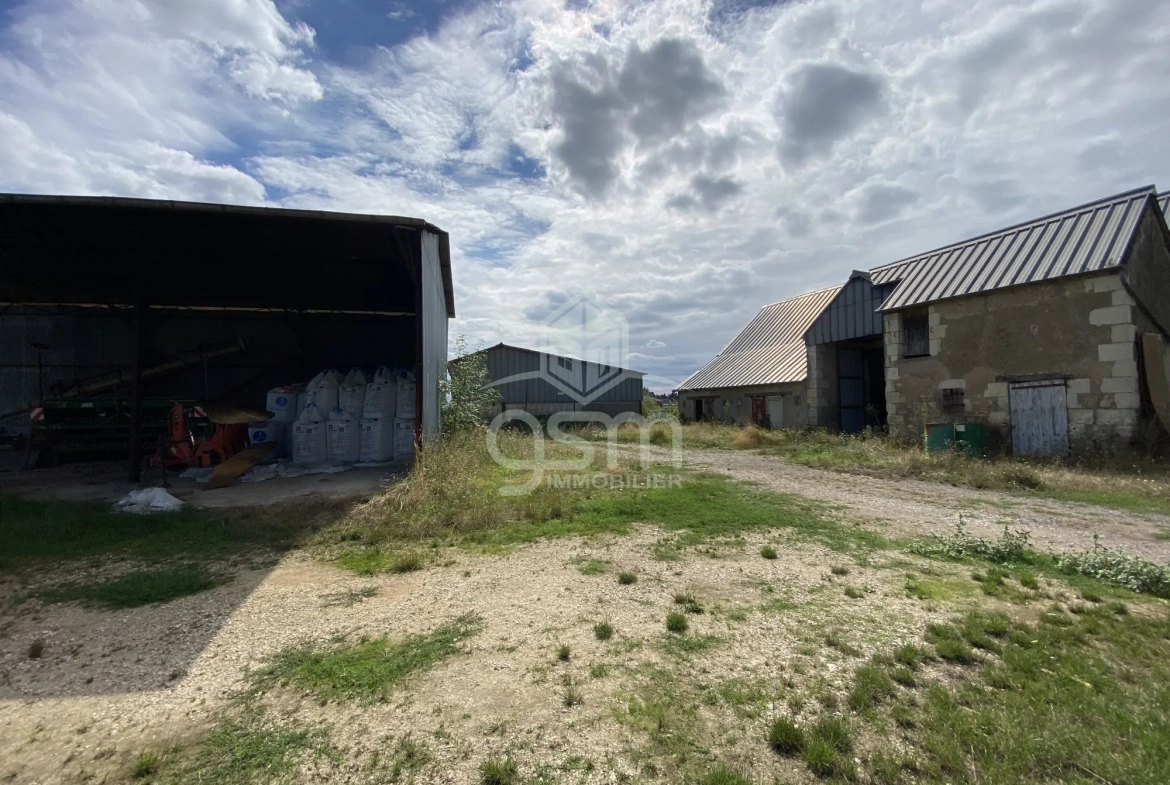 Grande grange à aménager à Sorigny, potentiel pour artisan ou investisseurs 