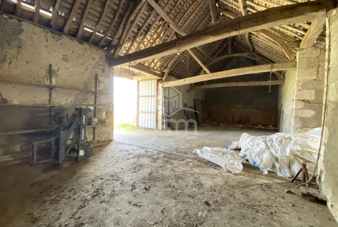 Grande grange à aménager à Sorigny, potentiel pour artisan ou investisseurs 