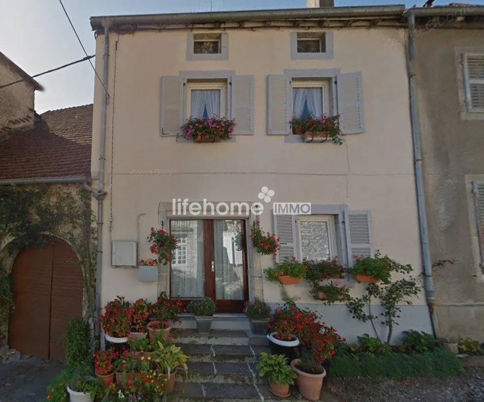 VIAGER OCCUPE Maison de village en viager occupée à Montbozon (70230), charme et confort 