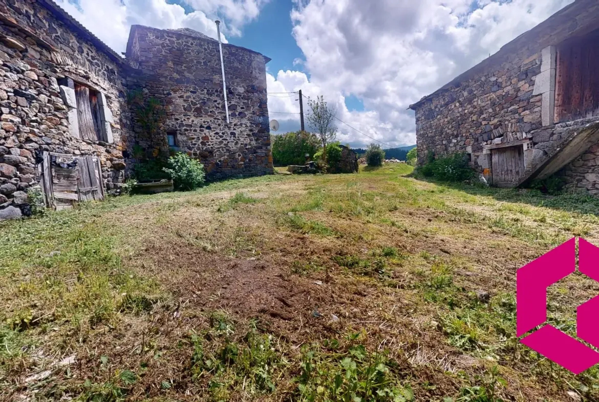 Maison en pierre à Bessamorel avec dépendances et terrain de 952 m² à vendre 