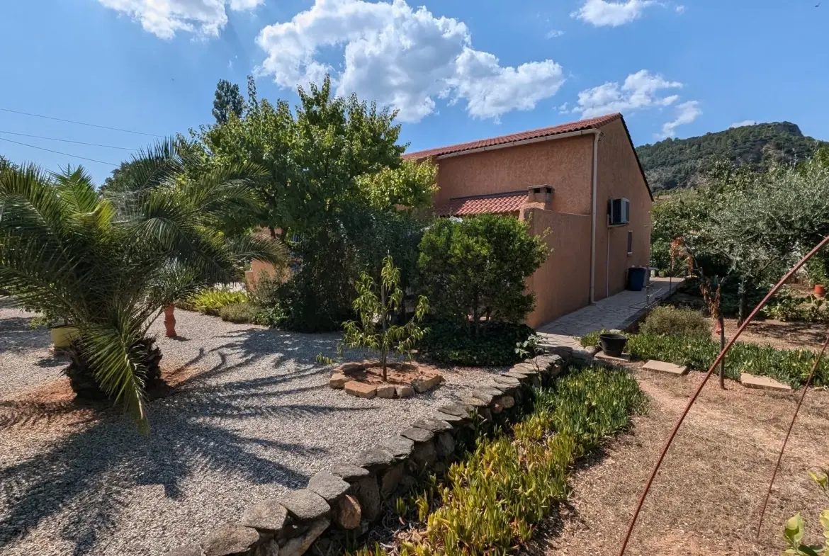 Villa en viager à Gonfaron : jardin, dépendances, en location occupée 