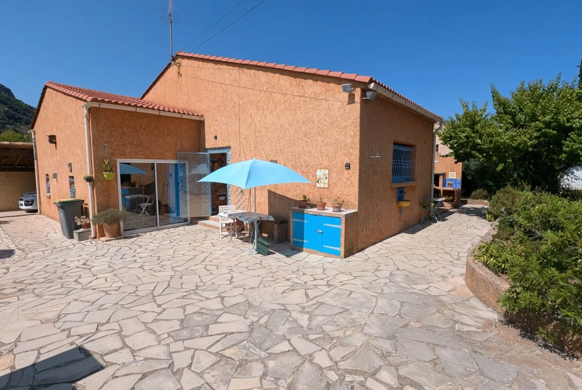 Villa en viager à Gonfaron : jardin, dépendances, en location occupée 