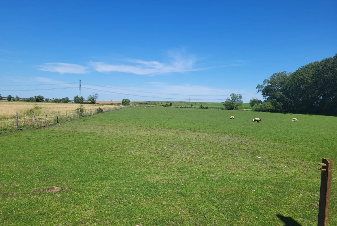 Terrain agricole avec bâtiment à Nelling - 34 000 m² - Installation solaire en projet 