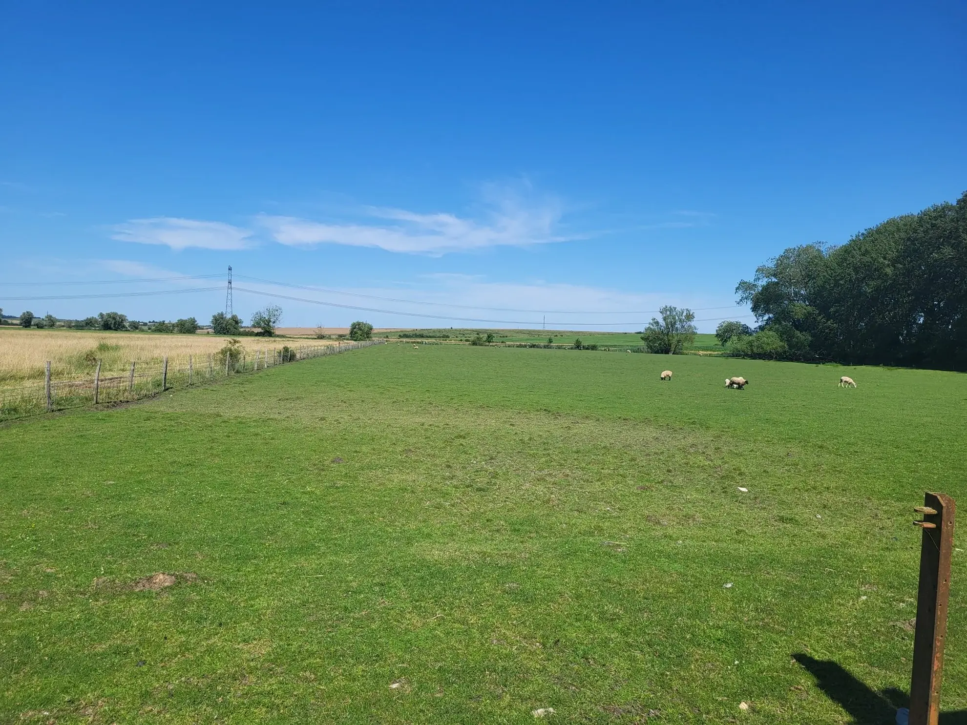 Terrain agricole avec bâtiment à Nelling - 34 000 m² - Installation solaire en projet 