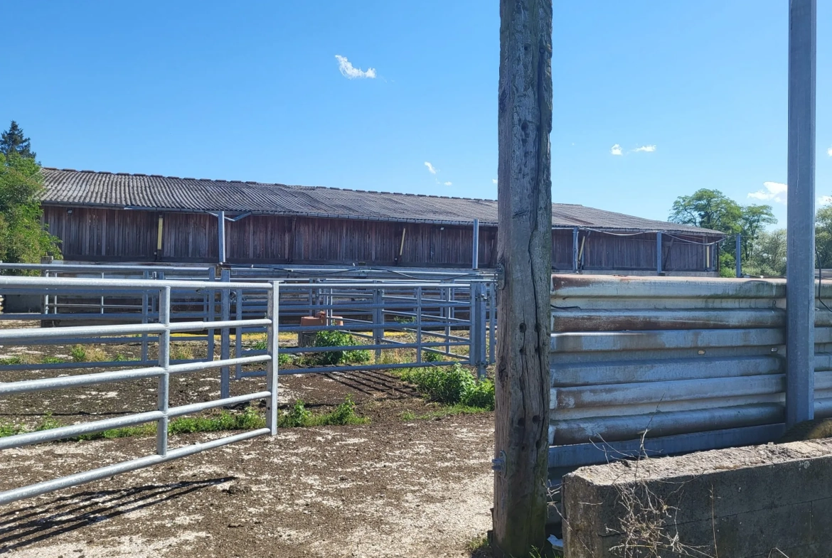 Terrain agricole avec bâtiment à Nelling - 34 000 m² - Installation solaire en projet 