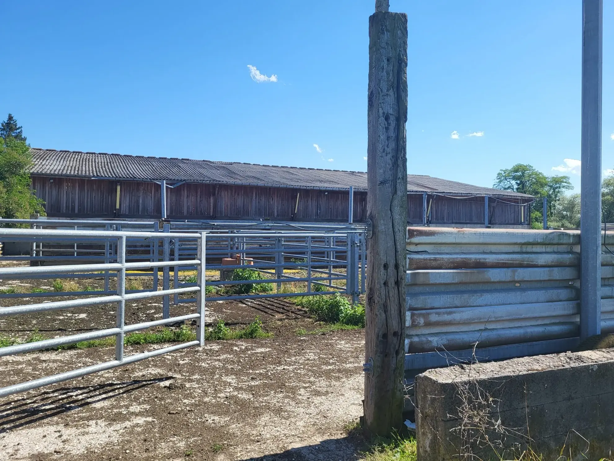 Terrain agricole avec bâtiment à Nelling - 34 000 m² - Installation solaire en projet 