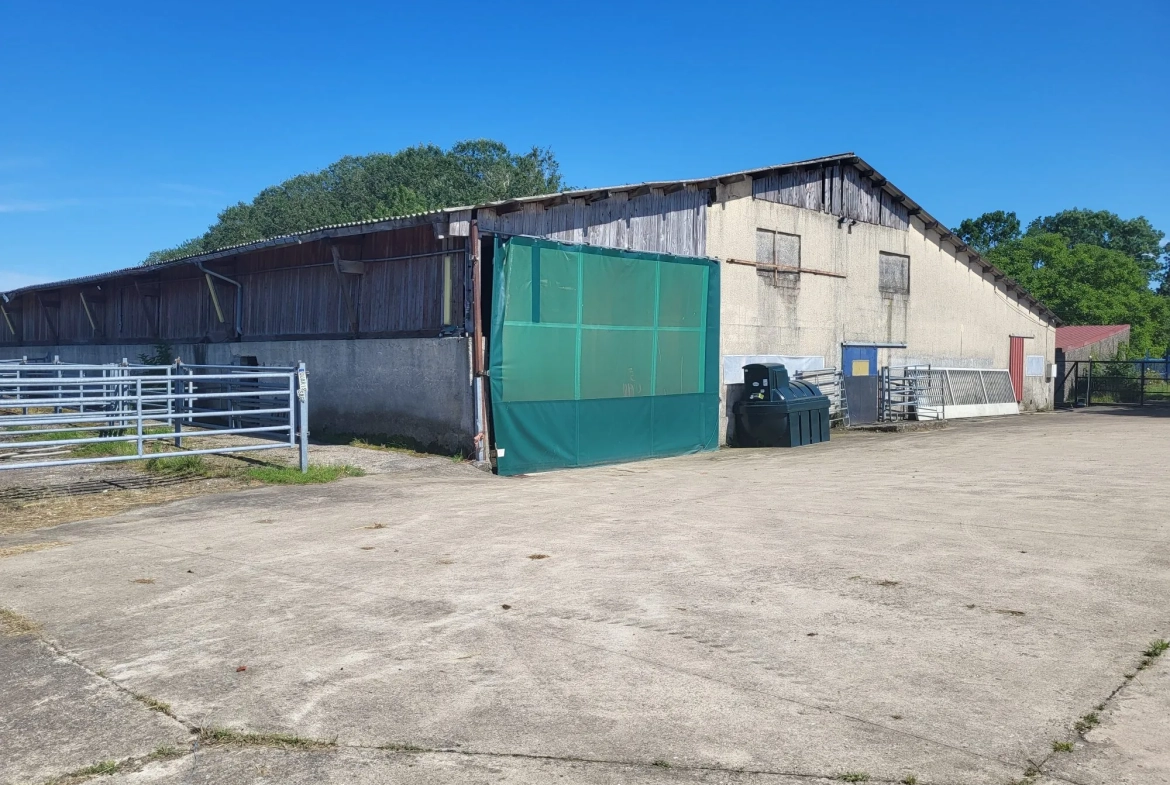 Terrain agricole avec bâtiment à Nelling - 34 000 m² - Installation solaire en projet 