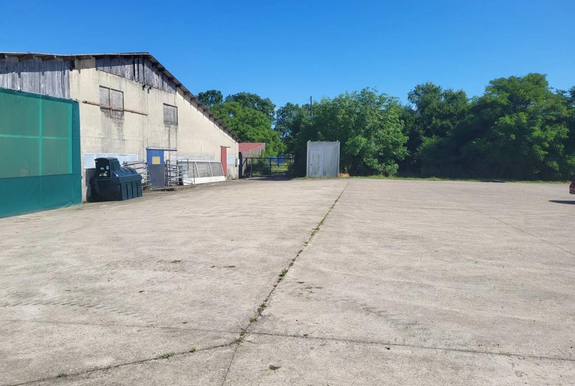 Terrain agricole avec bâtiment à Nelling - 34 000 m² - Installation solaire en projet 
