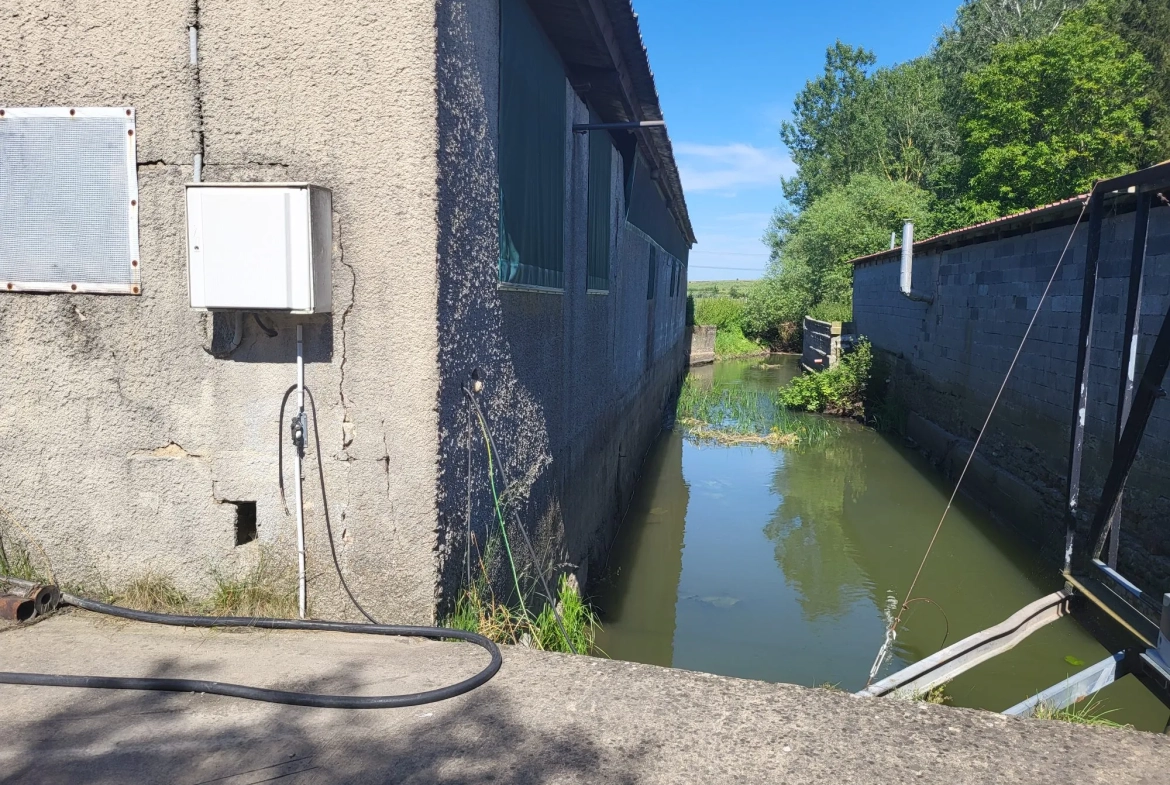 Terrain agricole avec bâtiment à Nelling - 34 000 m² - Installation solaire en projet 