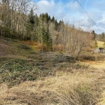 Terrain constructible et viabilisé de 1770 m² à Cornimont, idéal pour construire en 2025
