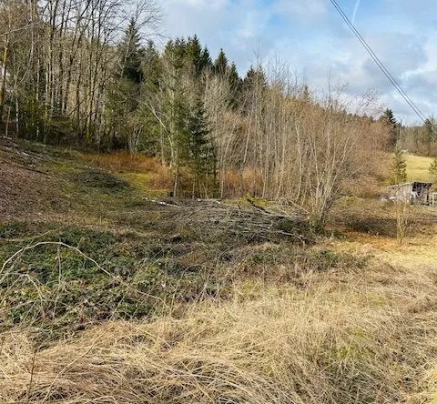 Terrain constructible et viabilisé de 1770 m² à Cornimont, idéal pour construire en 2025