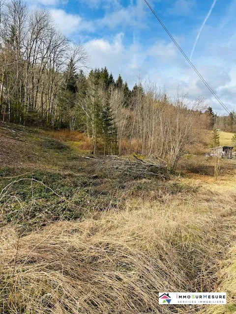 Terrain constructible et viabilisé de 1770 m² à Cornimont, idéal pour construire en 2025 