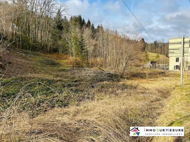 Terrain constructible et viabilisé de 1770 m² à Cornimont, idéal pour construire en 2025 