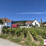 Terrain à bâtir à Voegtlinshoffen - Projet de construction idéal