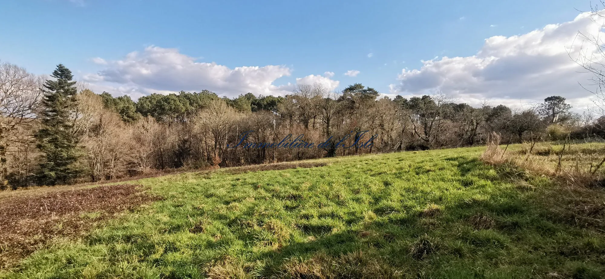 Maison de campagne en viager à Sanilhac - 170 m² avec grand jardin 