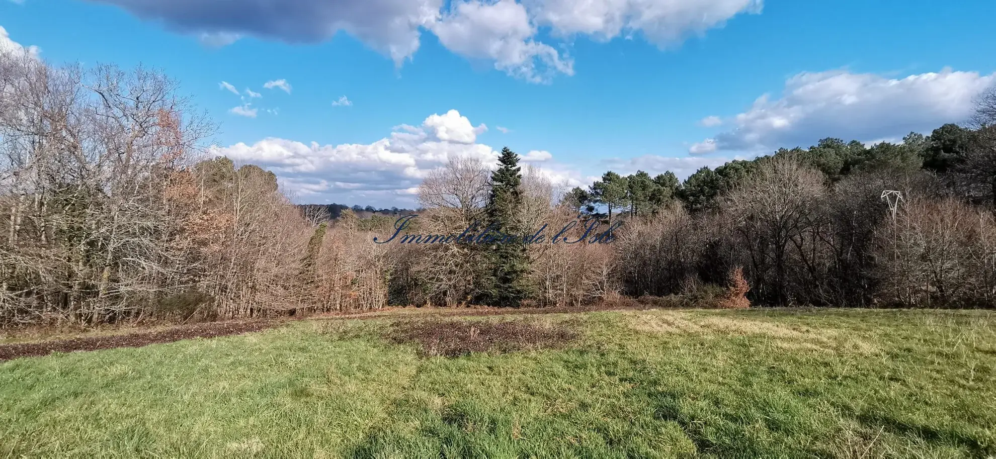 Maison de campagne en viager à Sanilhac - 170 m² avec grand jardin 
