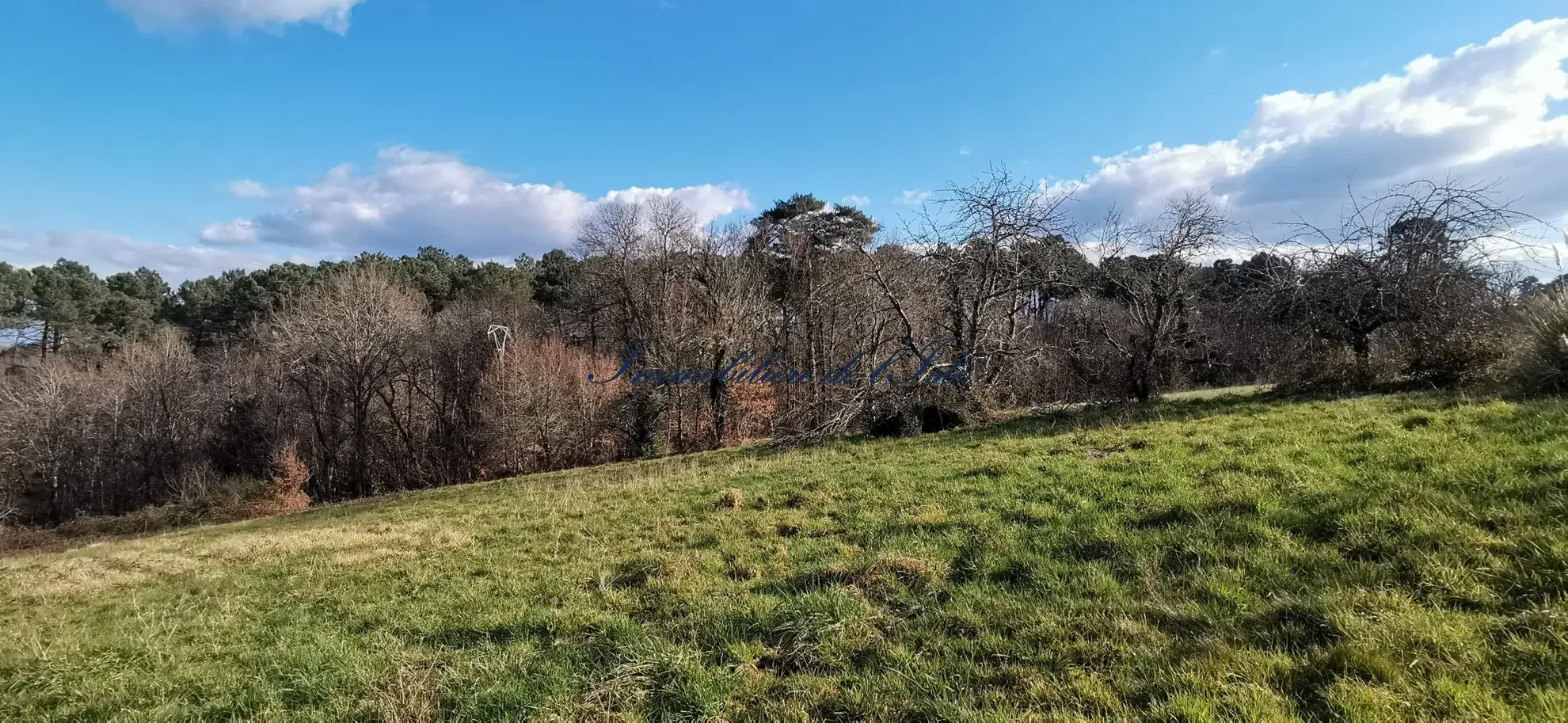 Maison de campagne en viager à Sanilhac - 170 m² avec grand jardin 