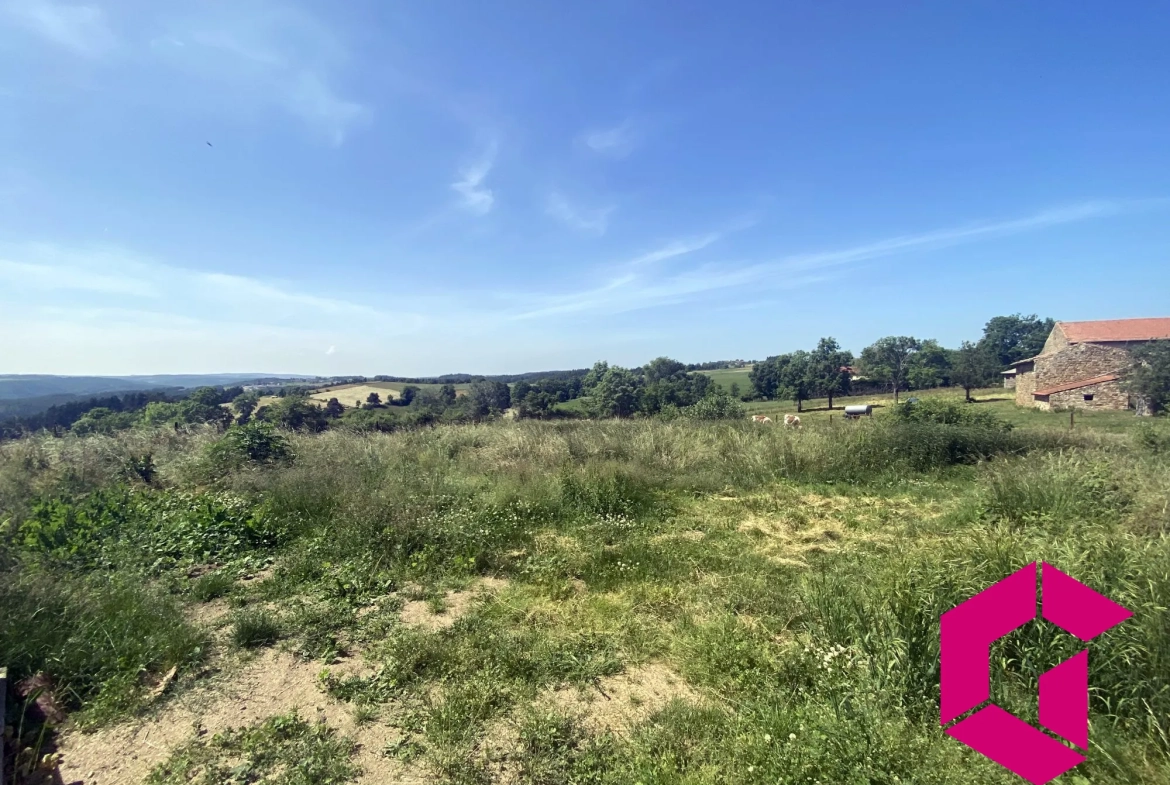 Ferme en pierres à rénover avec dépendances et vue sur les Gorges de l'Arzon 