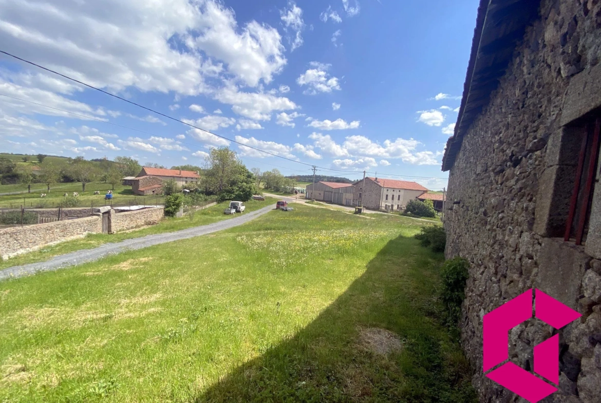 Ferme en pierres à rénover avec dépendances et vue sur les Gorges de l'Arzon 