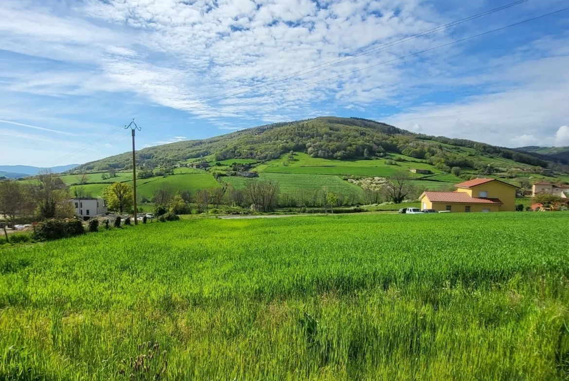 Terrain constructible de 1224 m² à Ancy avec exposition sud 