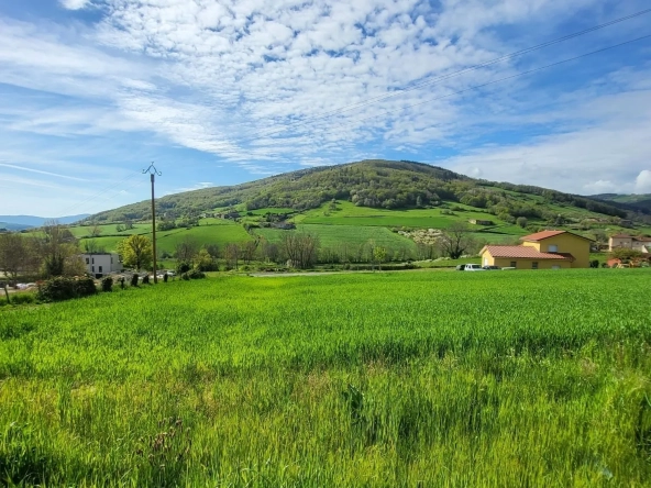 Terrain constructible de 1224 m² à Ancy avec exposition sud