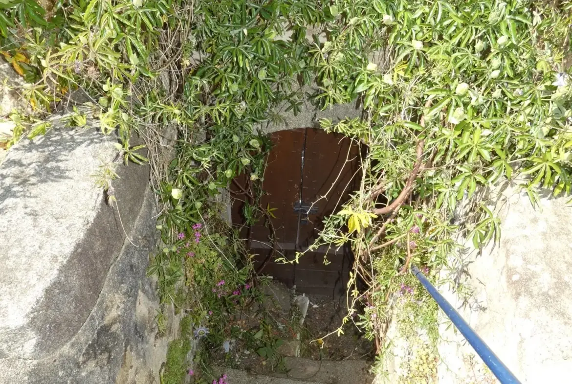 Maison de village en pierre avec dépendance et jardin à Cressat 