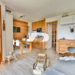 Studio rénové avec coin montagne aux Gets, proche du centre-ville