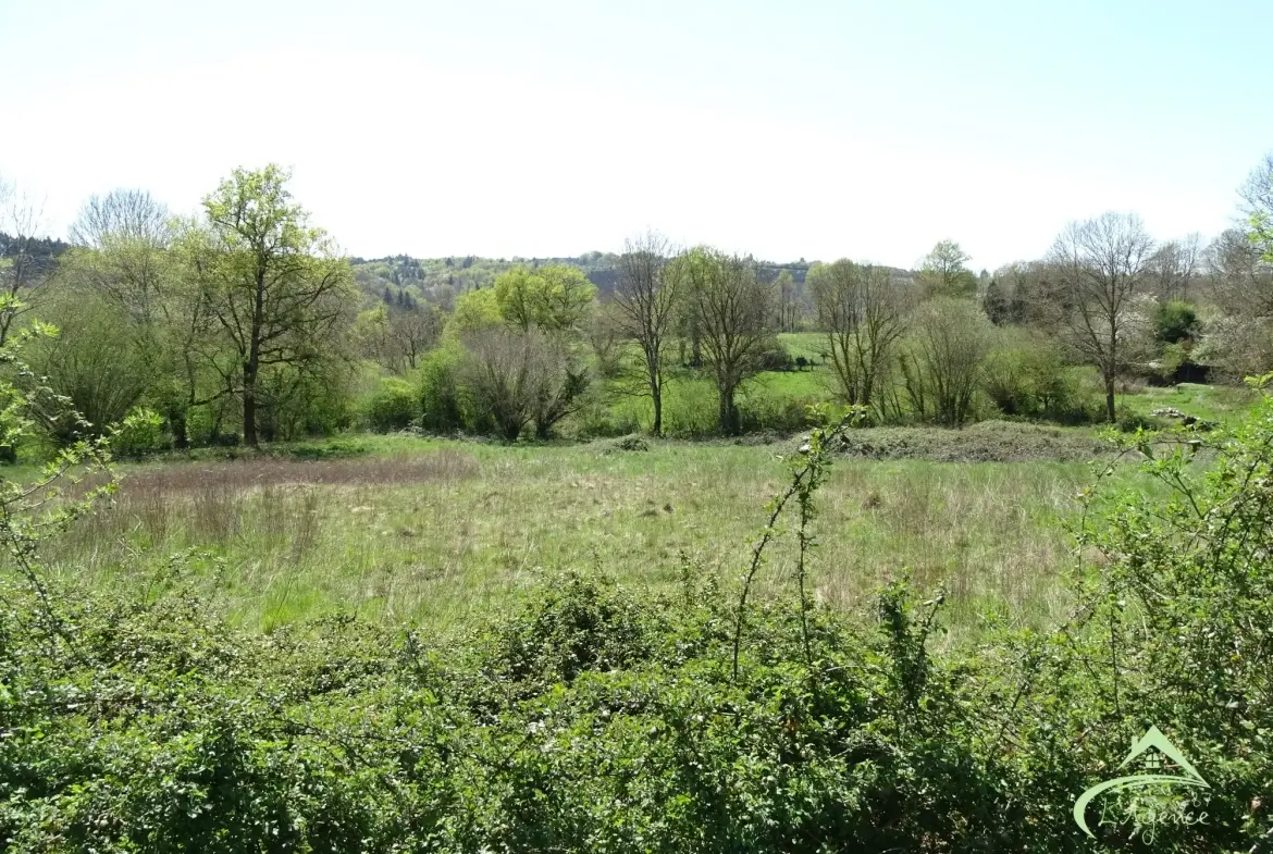 Terrain attenant Maison en pierre à rénover avec terrain de 9000 m² près de Saillat-sur-Vienne 
