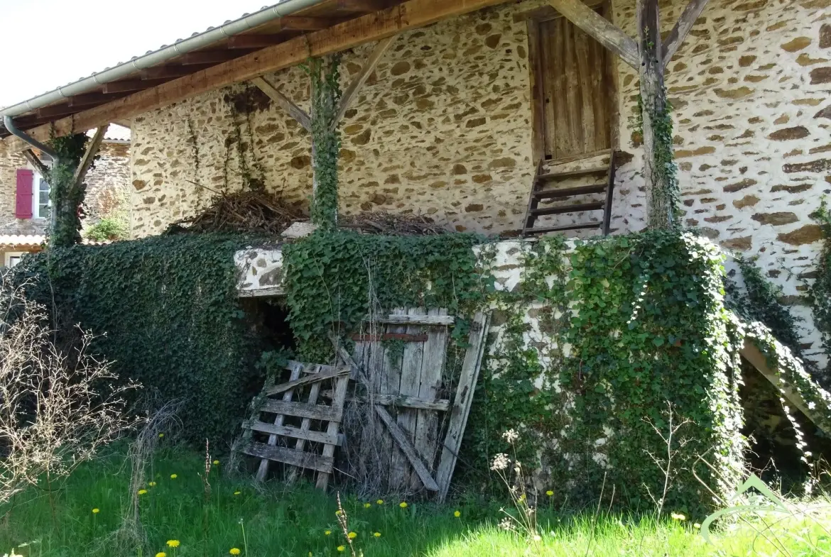 Maison en pierre à rénover avec terrain de 9000 m² près de Saillat-sur-Vienne 