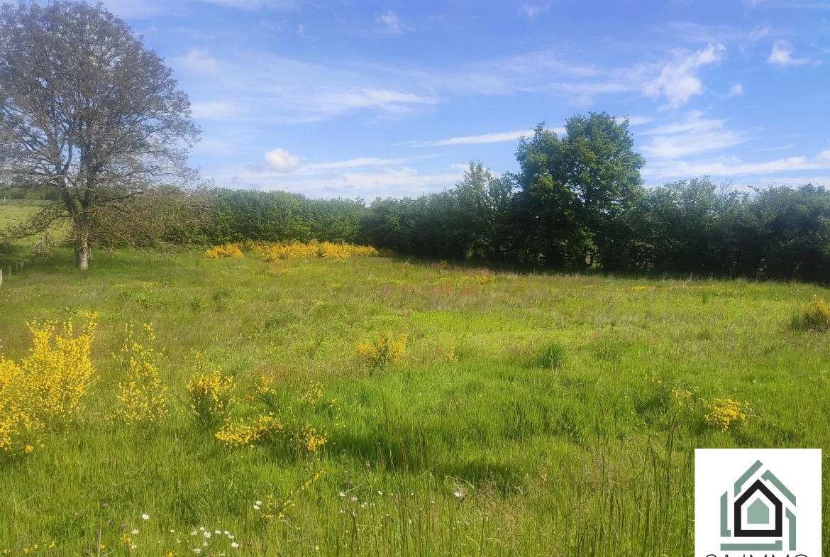 Terrain à vendre à Saint Georges-de-Mons – 3857 m² avec surface constructible 