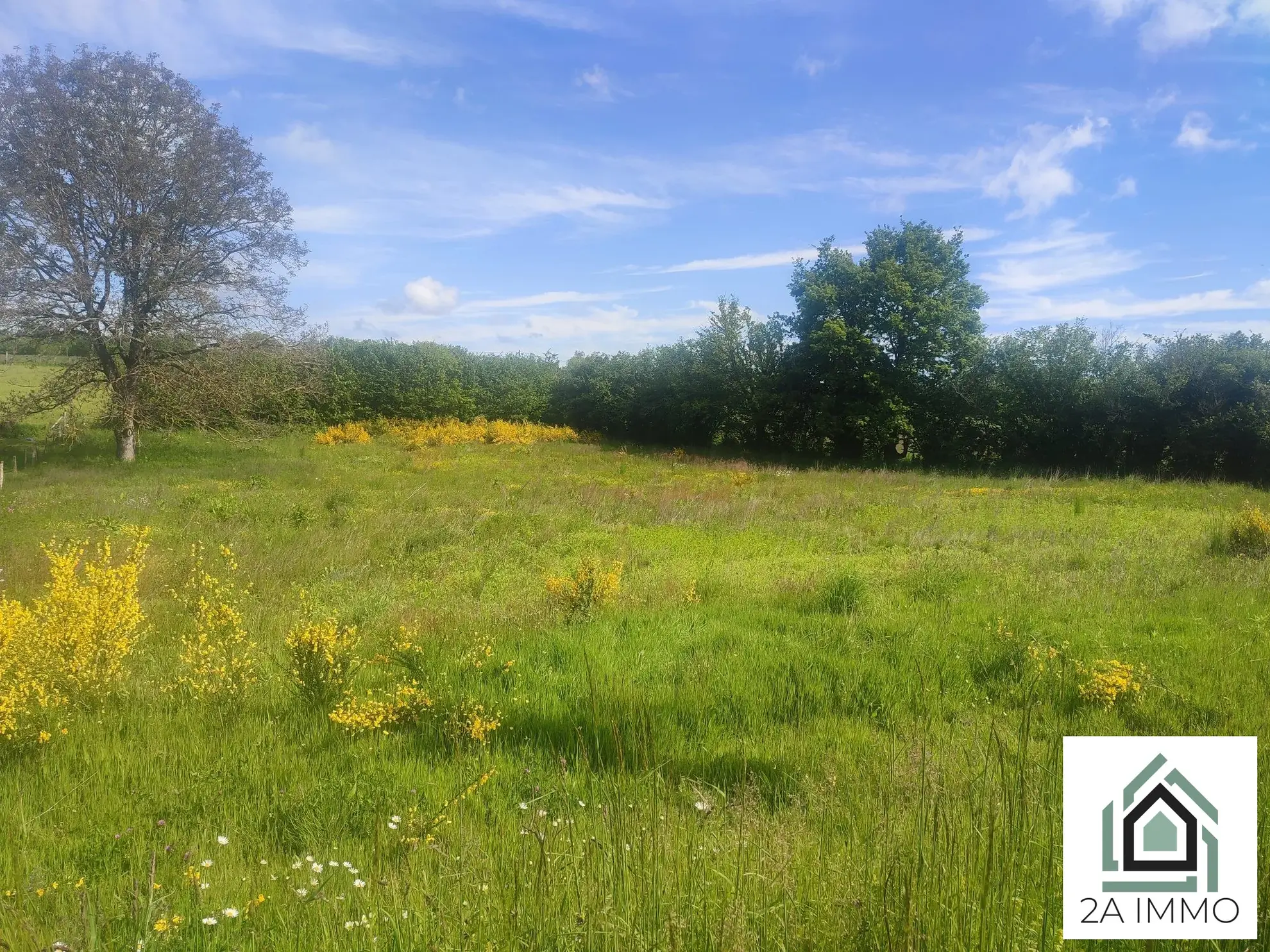 Terrain à vendre à Saint Georges-de-Mons – 3857 m² avec surface constructible 