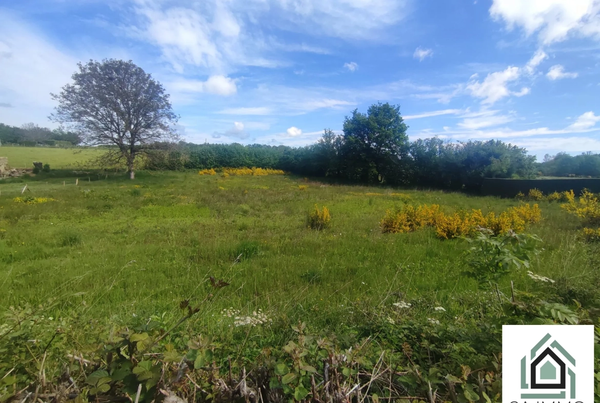 Terrain à vendre à Saint Georges-de-Mons – 3857 m² avec surface constructible 