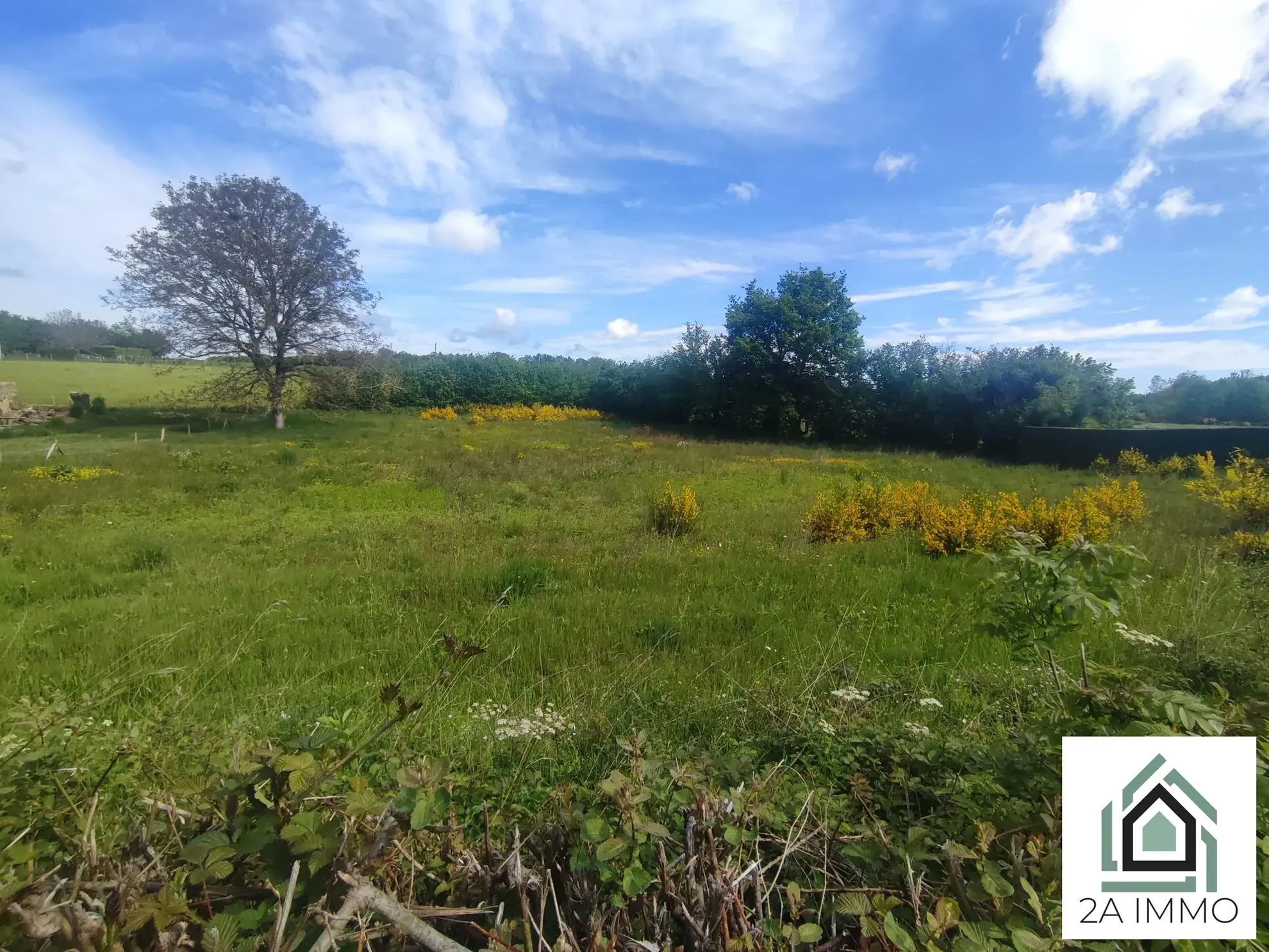 Terrain à vendre à Saint Georges-de-Mons – 3857 m² avec surface constructible 