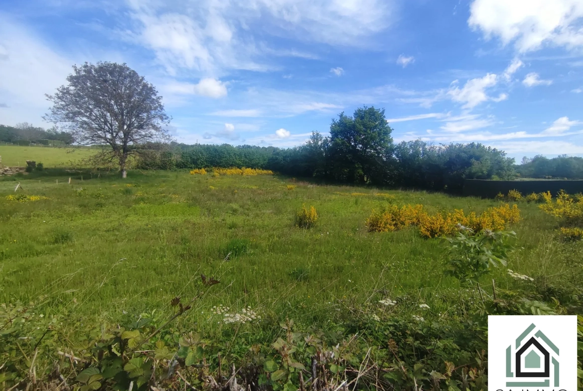 Terrain à vendre à Saint Georges-de-Mons – 3857 m² avec surface constructible 