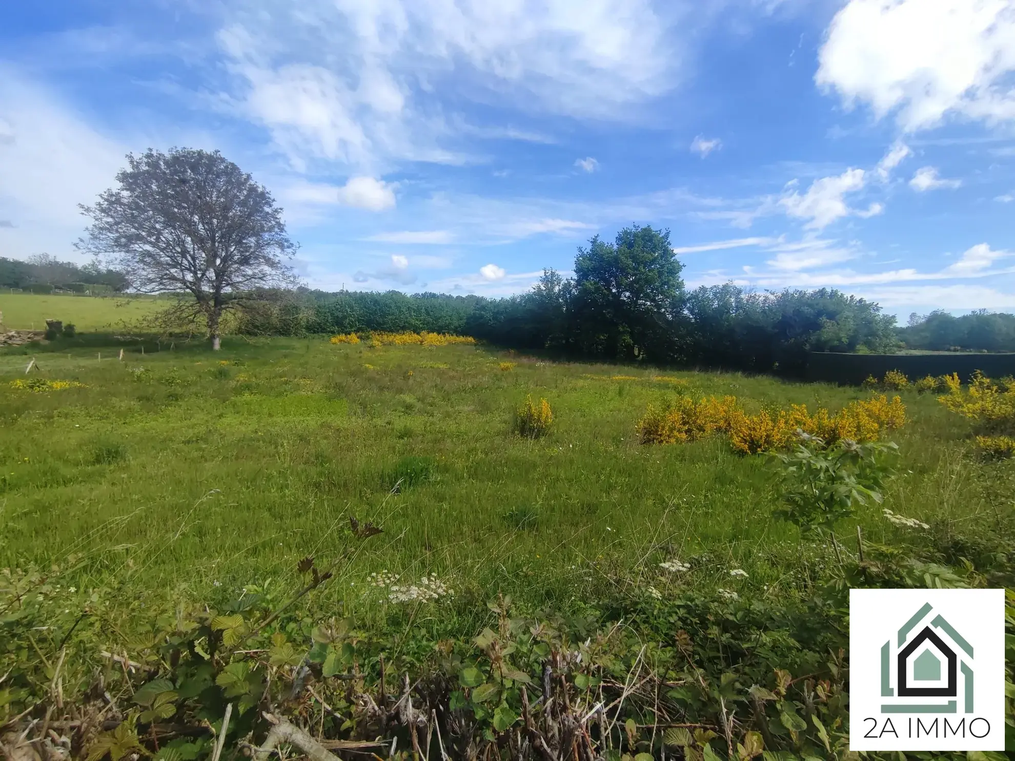 Terrain à vendre à Saint Georges-de-Mons – 3857 m² avec surface constructible 