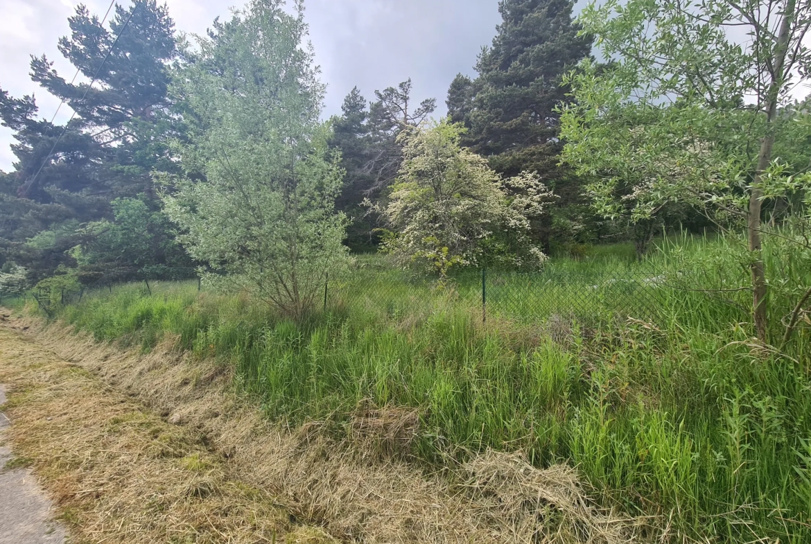 À vendre terrain de 1896 m² à Andon, secteur Tauran, environnement naturel et calme 