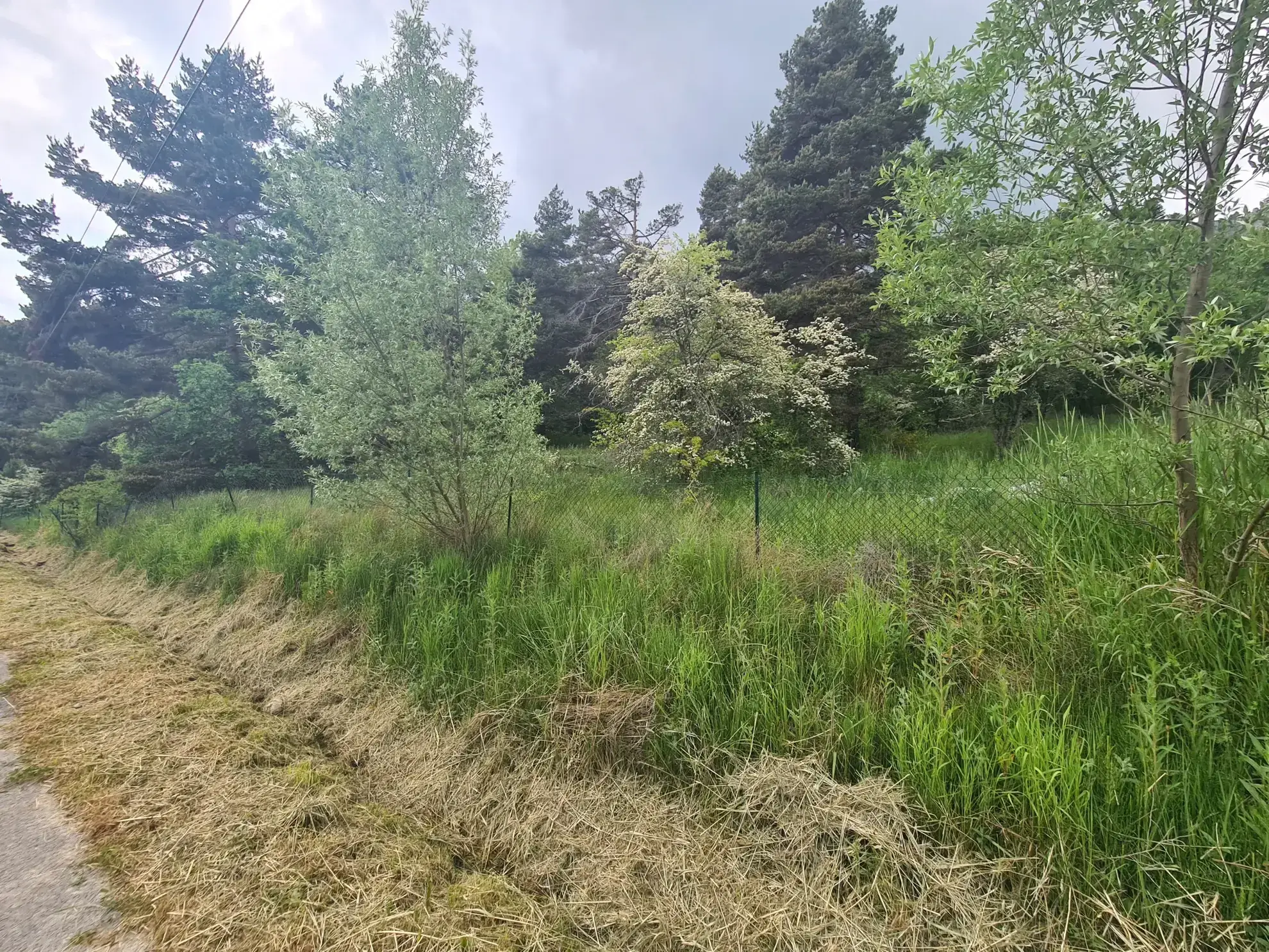 À vendre terrain de 1896 m² à Andon, secteur Tauran, environnement naturel et calme 