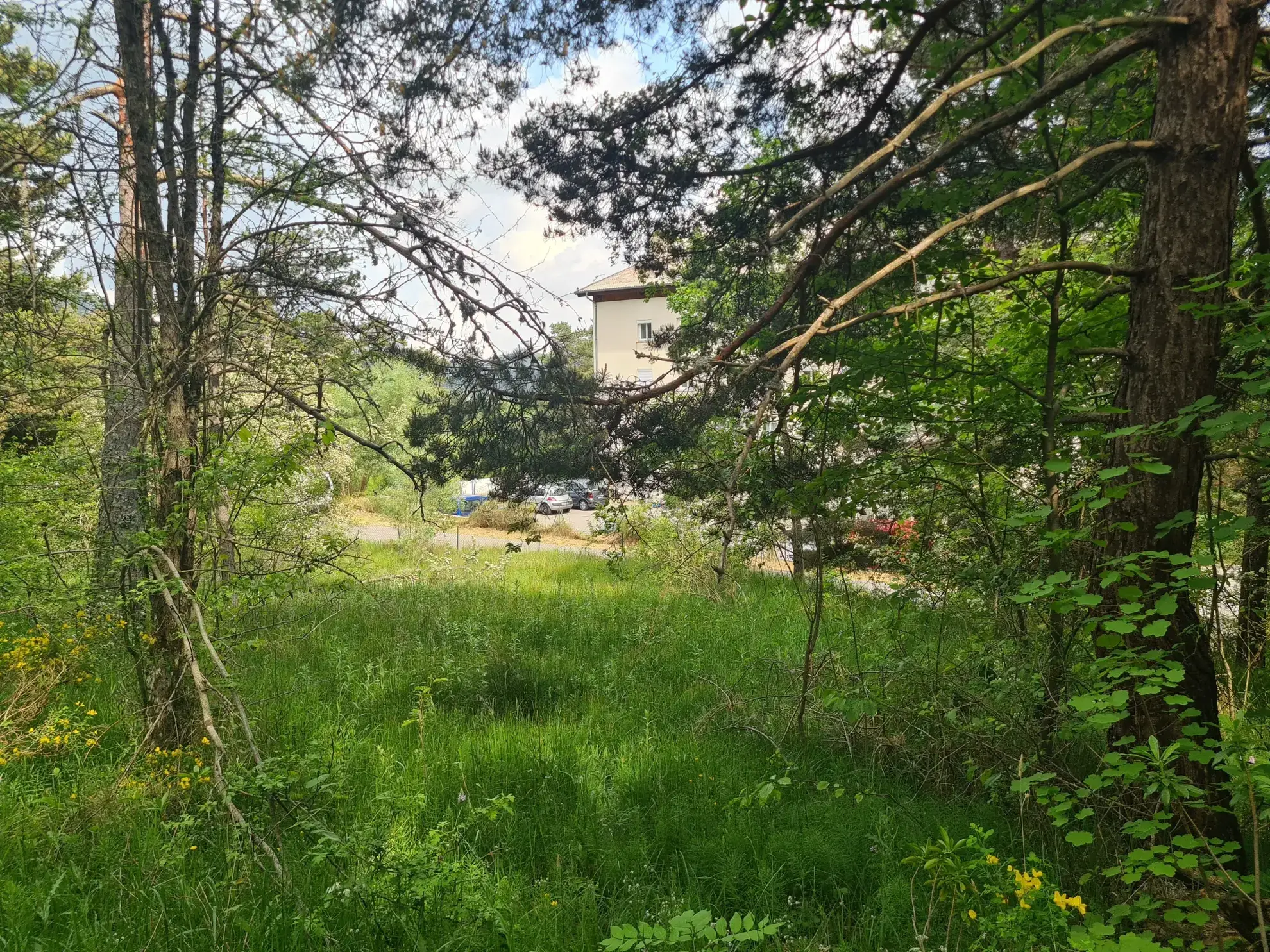 À vendre terrain de 1896 m² à Andon, secteur Tauran, environnement naturel et calme 