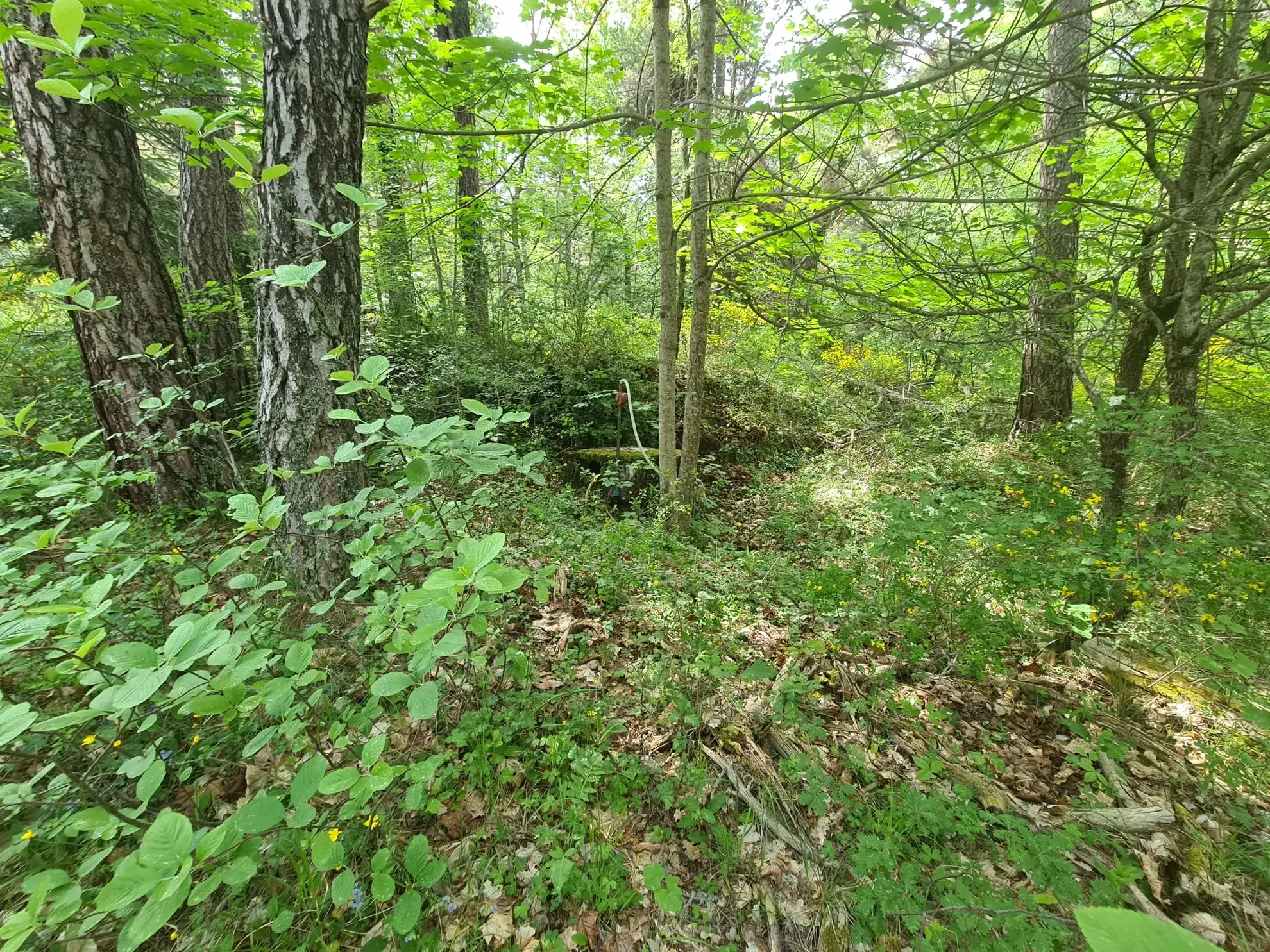 À vendre terrain de 1896 m² à Andon, secteur Tauran, environnement naturel et calme 