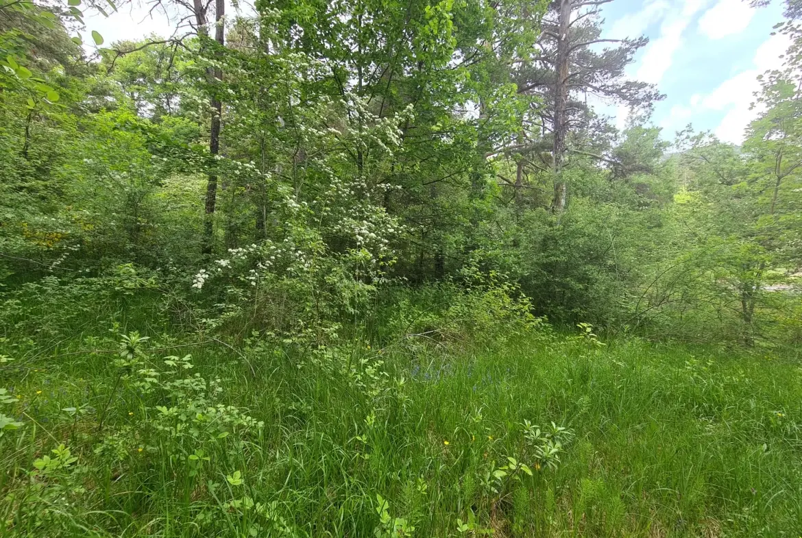 À vendre terrain de 1896 m² à Andon, secteur Tauran, environnement naturel et calme 