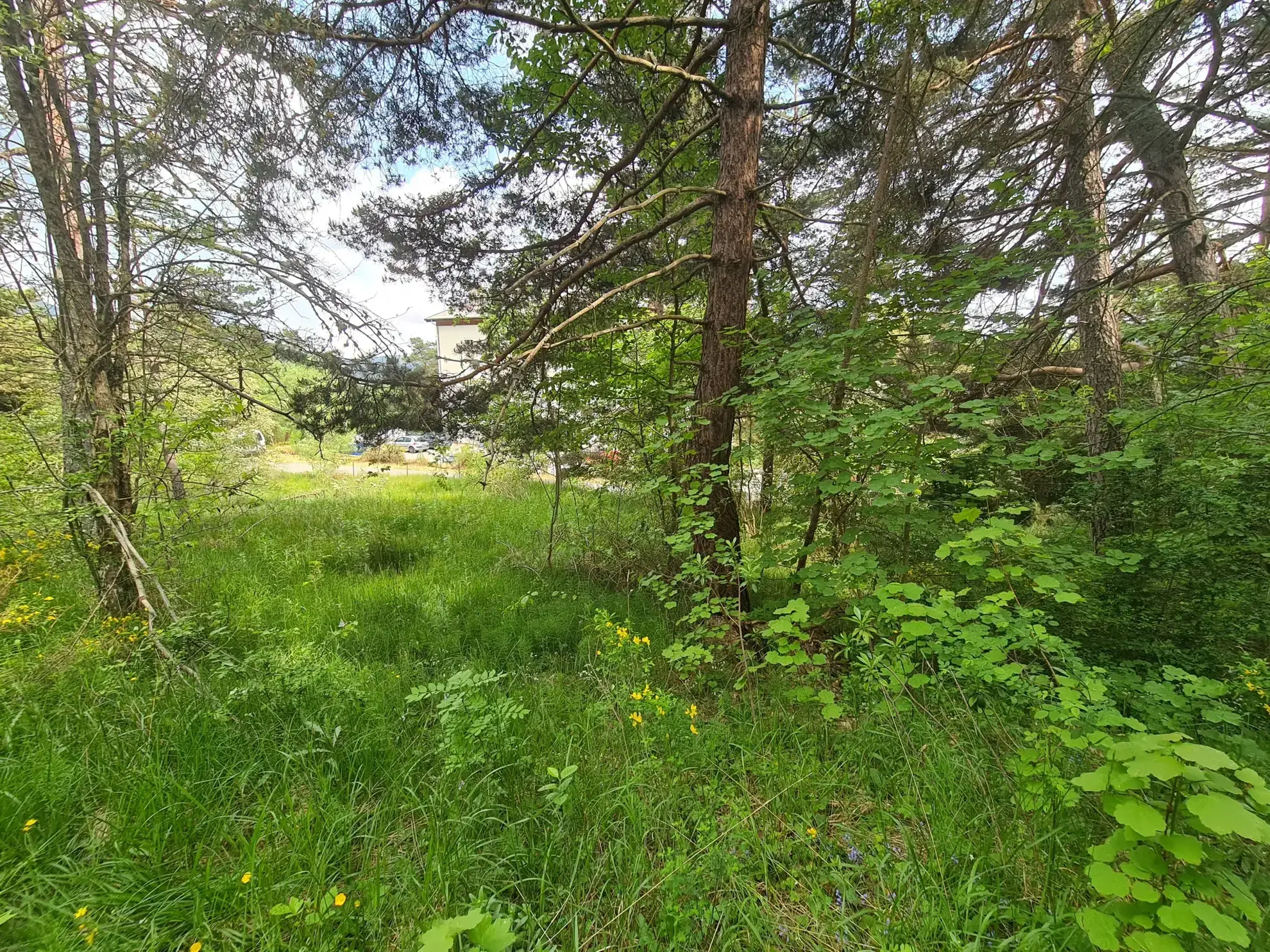 À vendre terrain de 1896 m² à Andon, secteur Tauran, environnement naturel et calme 