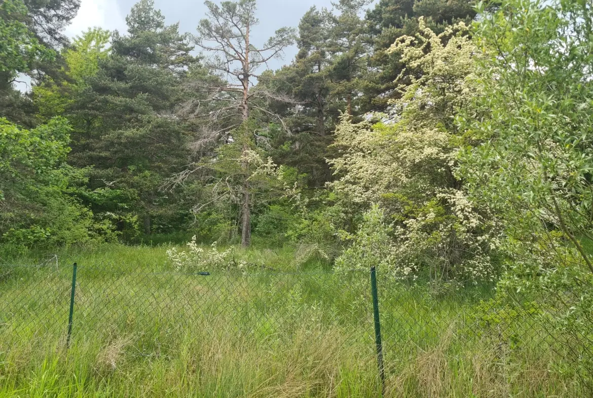 À vendre terrain de 1896 m² à Andon, secteur Tauran, environnement naturel et calme 