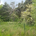 À vendre terrain de 1896 m² à Andon, secteur Tauran, environnement naturel et calme